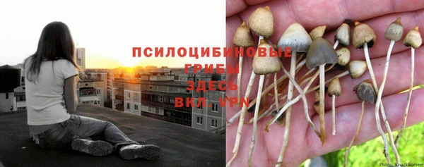синтетический гашиш Вяземский